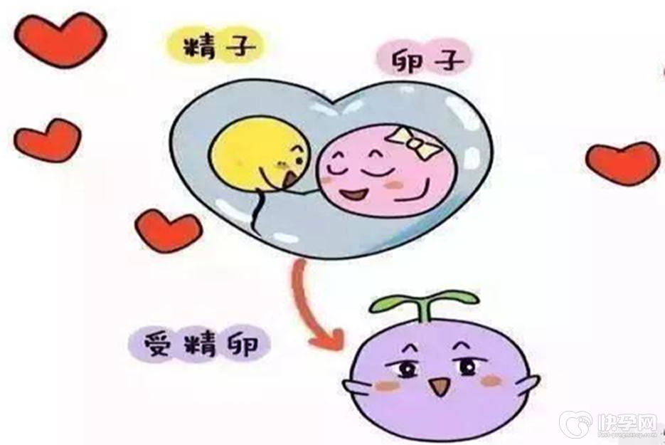 绝经了后还有一个基础卵泡能试管助孕吗-可以但成功率很低