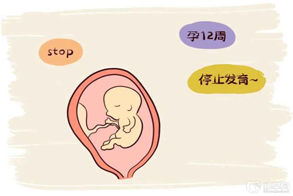 选择供卵试管婴儿却仍然出现胎停育是为什么-可能是这8大常见原因