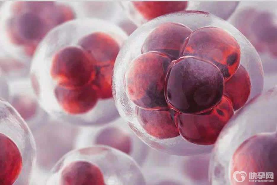 让试管婴儿移植更易着床的小妙招，如何“吃”和“睡”很重要