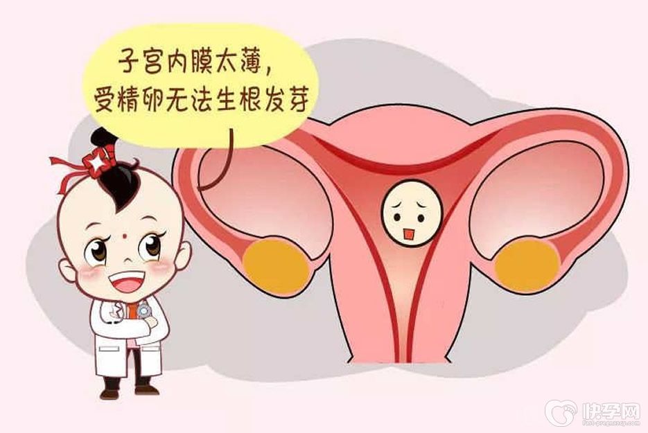 试管婴儿内膜薄调理多久后才可以移植？看具体评估的时间