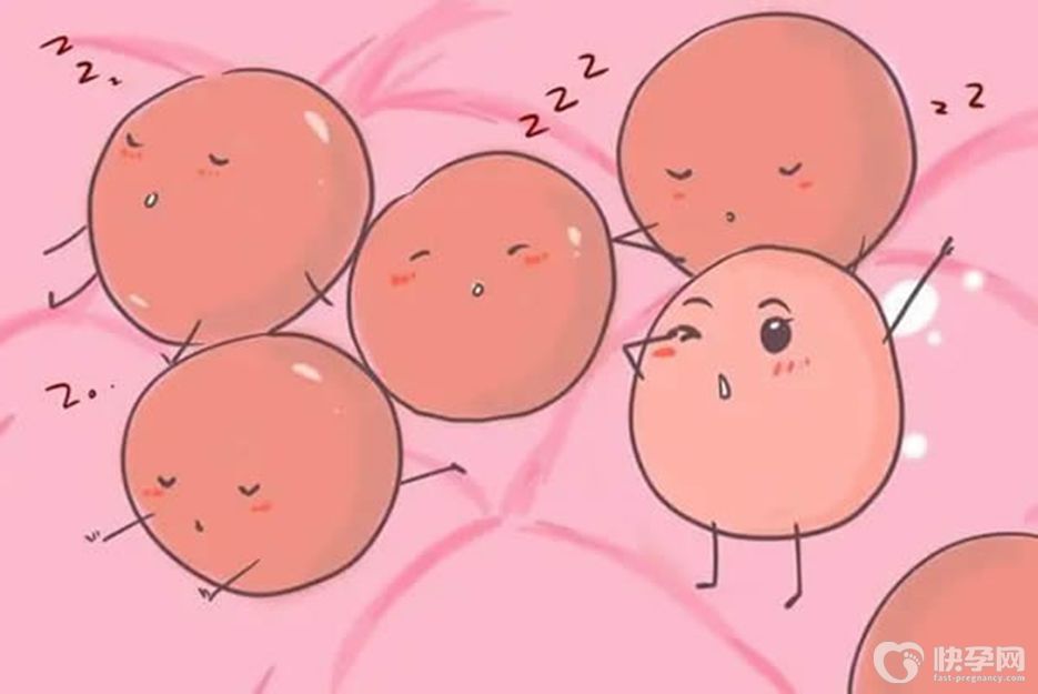 卵泡发育不成熟可以做试管婴儿吗？合理促排很重要