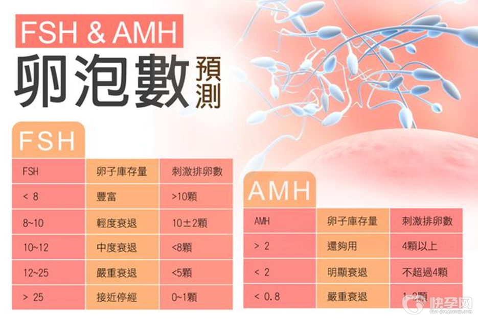 AMH减低是不是卵子变少？带你进一步了解AMH
