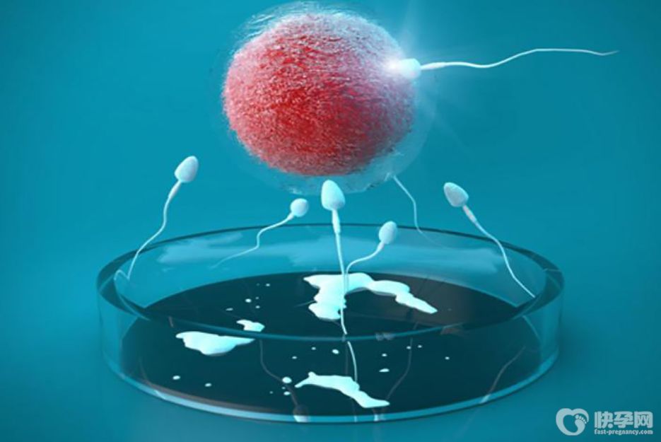 没有ab级别的精子能做试管吗？能-但弊大于利还请谨慎选择