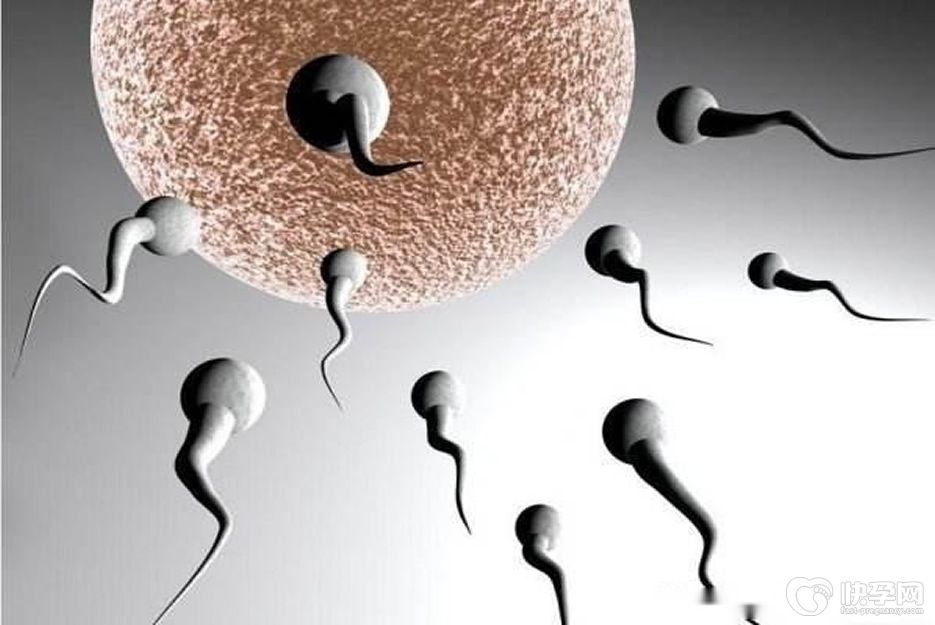 严重少精只能做试管吗？目前看来做试管的受孕力要大一些