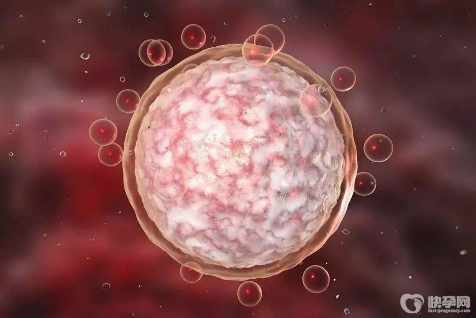 试管基础卵泡如何能多一点？5招教你有效改善