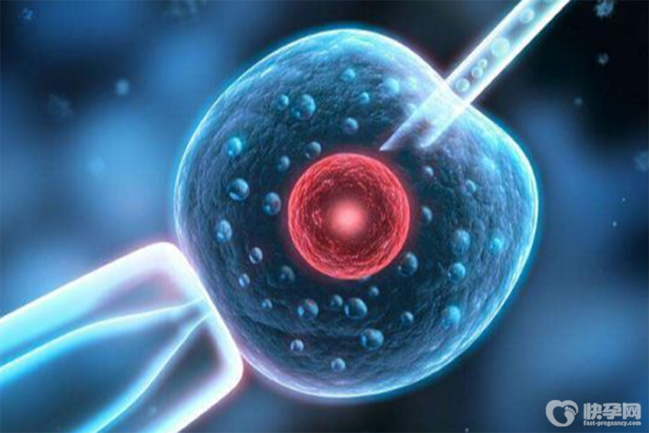 十个精子的存活率还能做试管助孕吗-可以选择第二代