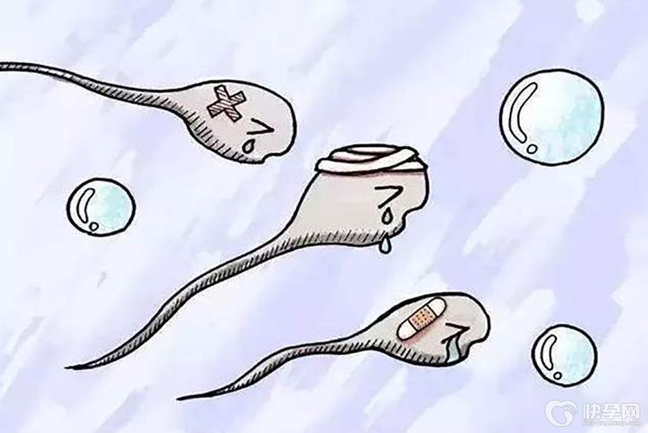 全为不动精子做试管婴儿能成功吗？一颗种子就可以孕育一个生命