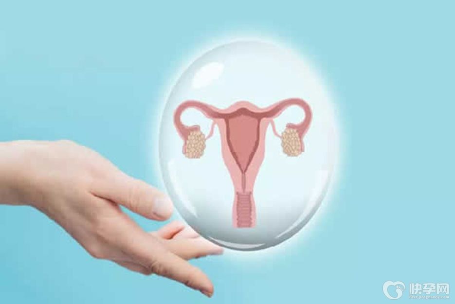 子宫前壁肌层有一个肌瘤影响怀孕吗可以做试管吗-需根据肌瘤大小来判断