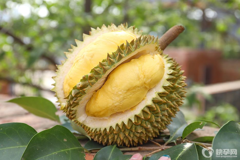 刚做完试管婴儿移植可以吃榴莲吗？可以，但要注意适量