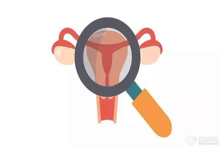 深度科普文：女性患有子宫结核可以做试管吗？