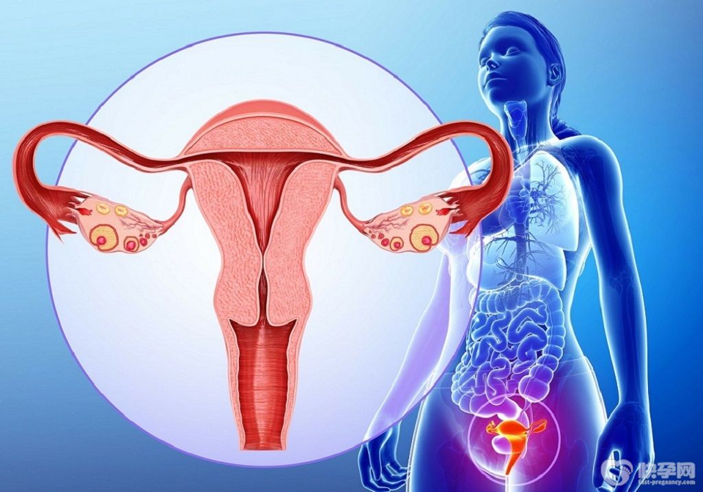 子宫肌瘤能做试管婴儿吗-能，论科技的重要性