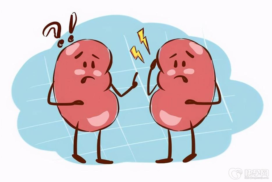 慢性肾炎能做试管婴儿吗？全面检查，病情稳定后入周