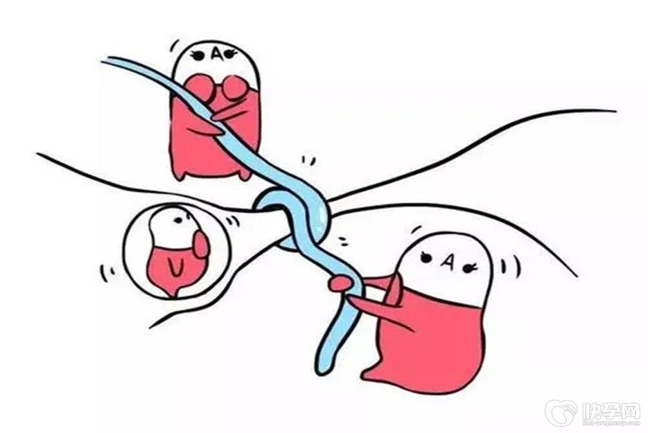 结扎的人可以做试管吗？只要万事俱备，东风不可不来