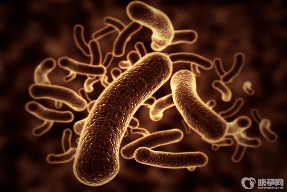 结核菌感染能做试管吗？专家的建议不妨一听