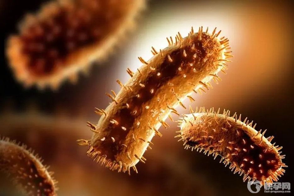 女性患有衣原体感染可以做试管婴儿吗？先安心做治疗，否则努力白费