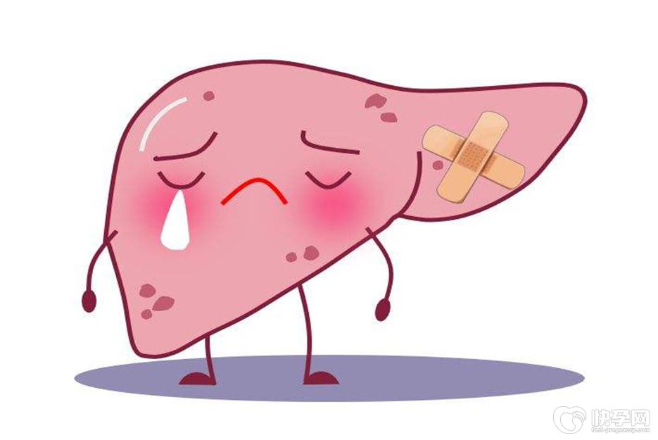 早期肝硬化可以做试管怀孕吗？积极治疗后试管效果更佳