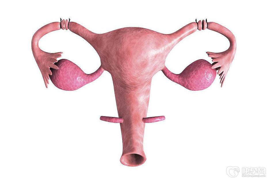 两侧输卵管切除可以做试管吗？看完你心中就有答案了