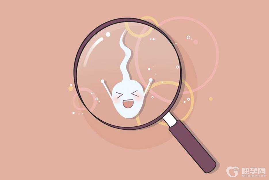 男人精子成活率低能怀男孩吗？精子成活率无关生男生女