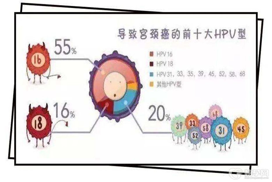 hpv16hpv18感染普遍吗?一项全球范围的调查结果
