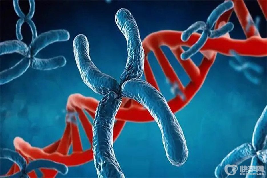 染色体异常会导致胎停育吗，染色体异常导致胚胎停育怎么办-尽力了