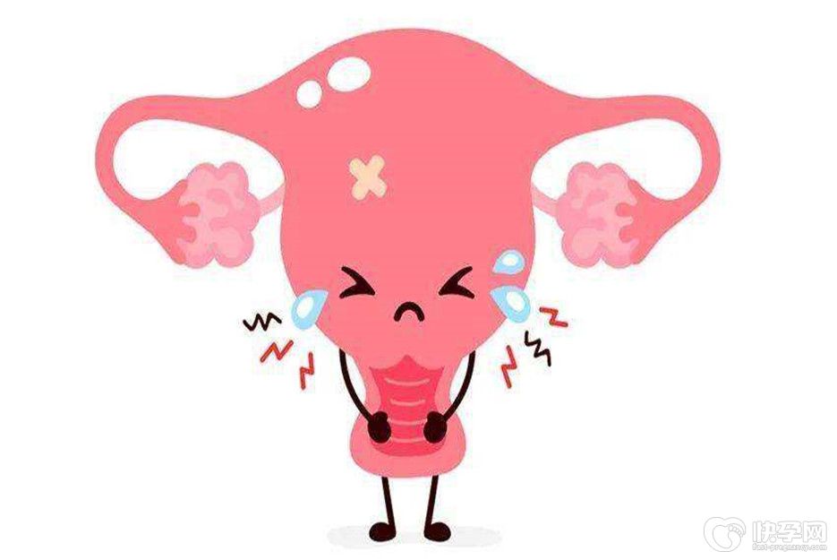 女人无子宫能活多久真相揭秘-一条蓄谋已久的答案