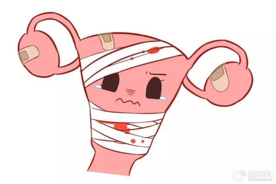 纵隔子宫怀孕五个月注意事项，抓紧这样做，保胎很重要