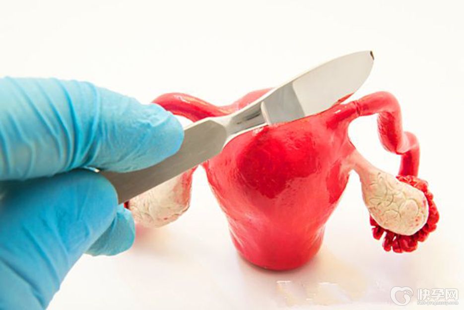 子宫切除三分之二还会怀孕吗?试管技术助你一臂之力