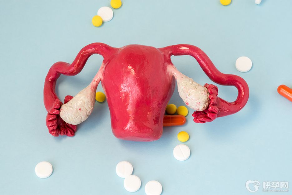 始基子宫能治疗好怀孕吗？怀孕的几率有多大？选对方法也能拥有可爱宝宝