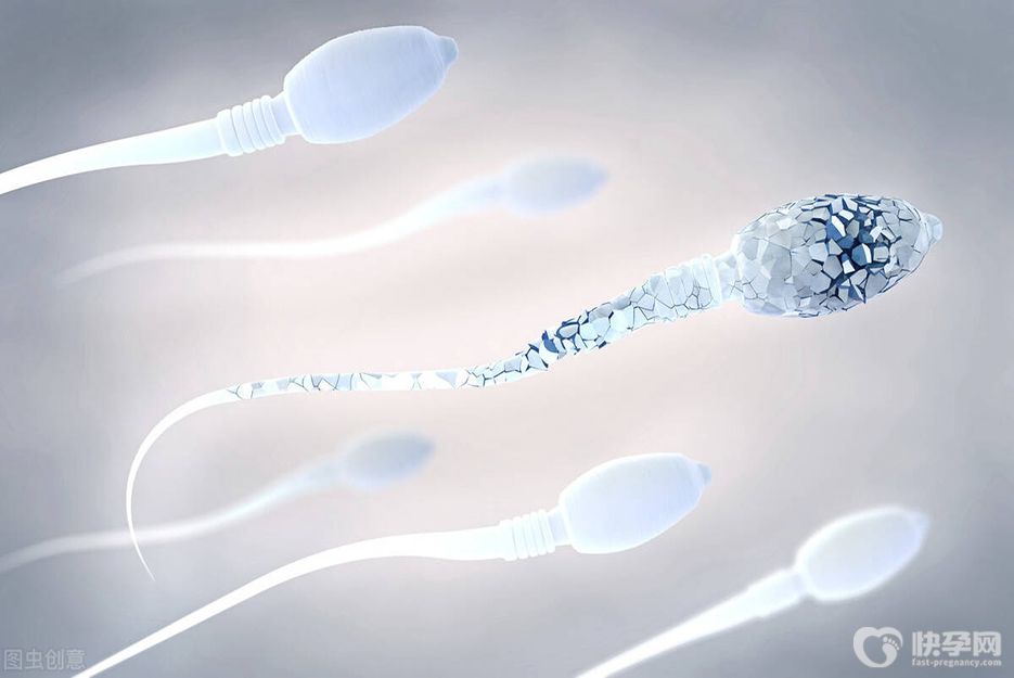 揭秘全球五大精子库，在这里宝宝也能按需定制