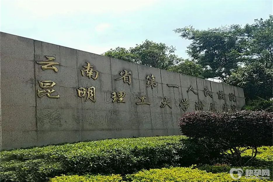 云南供卵试管成功率最高的医院是哪家？云南省第一人民医院位居榜首