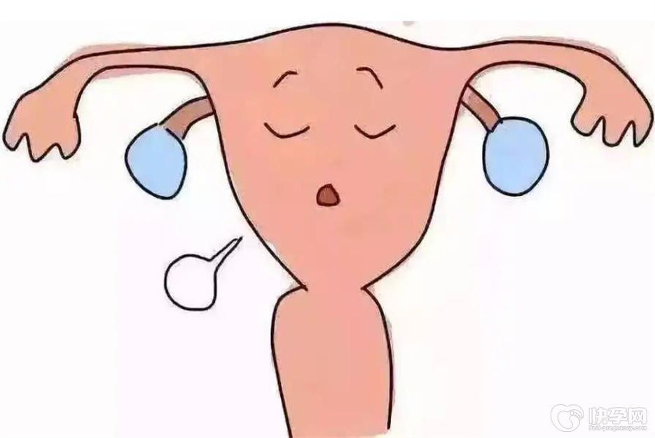 幼稚子宫能生育么？后天原因的幼稚子宫一定要抓住黄金受孕时间