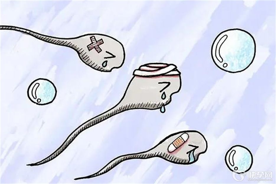 男子弱精能做人工授精吗？男子弱精做人工授精的具体步骤速速观看