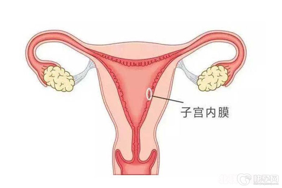 子宫内膜不规则脱落会影响试管吗？专家建议先治疗