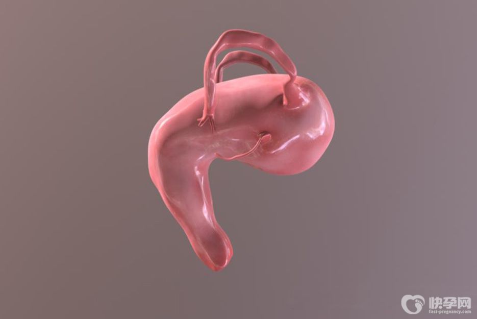 先天性单角子宫能不能怀孕？受孕困难，并不代表没有希望