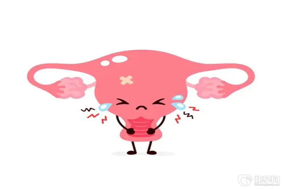 专题速览：子宫切除卵巢还在可以怀孕吗？答案揭晓要理性看待