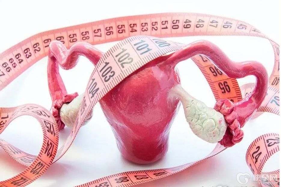 生育指南：始基子宫可以怀孕吗？关键要抓住最后的希望