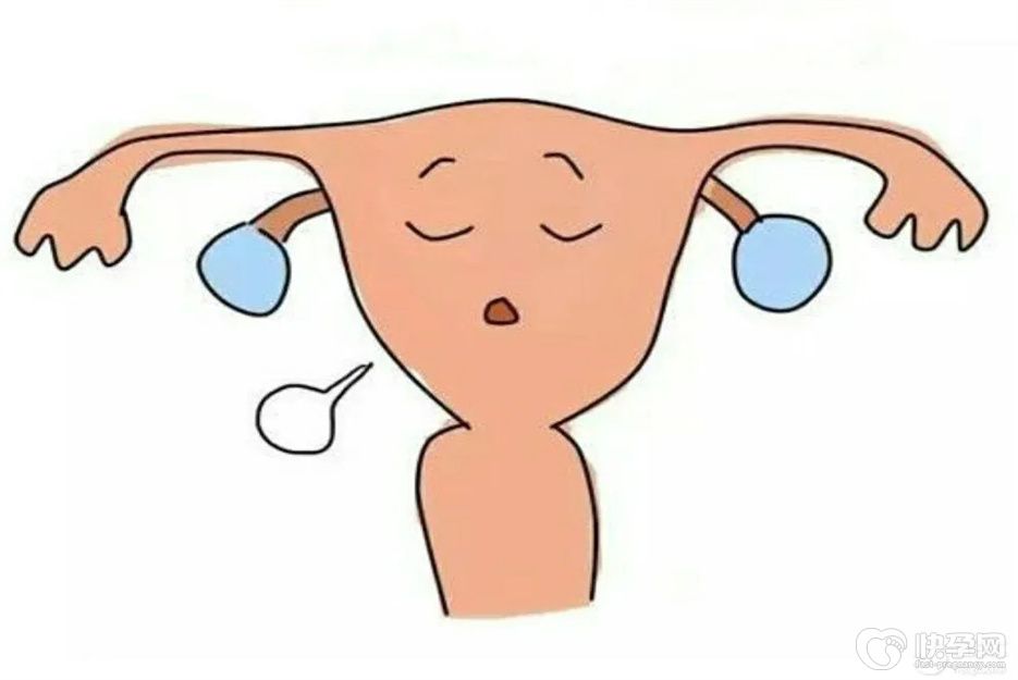 试管科普：始基子宫能不能生育？选对方法也能拥有可爱的宝宝