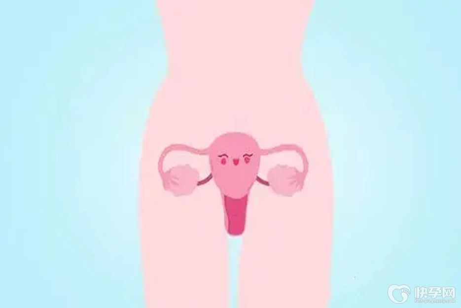 子宫形态不规则影响怀孕吗？别急听听医生怎么说