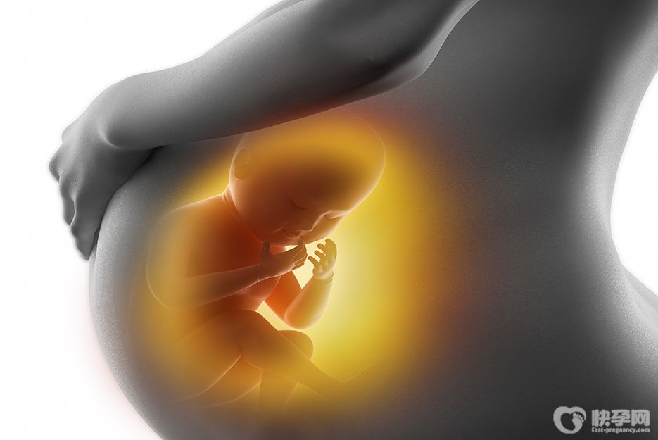 近期公开：nt小于1.5就一定是女孩吗？其实nt值看男女并不准确！