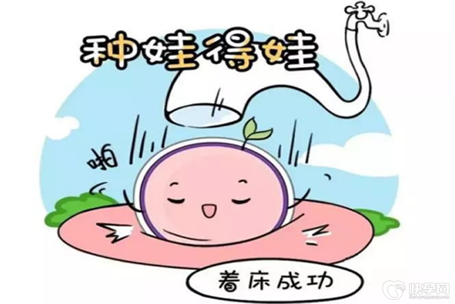 宫腔粘连做试管婴儿成功率有几成？这样做可以达到弹无虚发