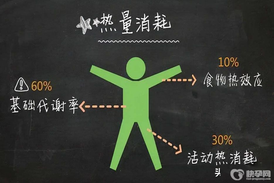 增加基础代谢的6个方法，成为易瘦体质轻松减重