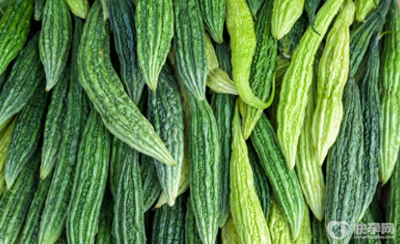 吃苦瓜对人体有什么好处，苦瓜的功效与作用有哪些？