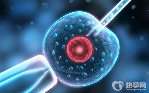 2025最新单身试管生子参考价格表！附省钱秘笈