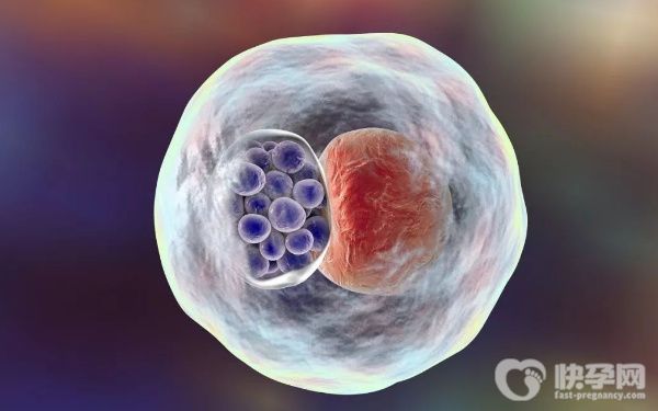 国内单身试管婴儿具体要花费多少钱？附费用明细！