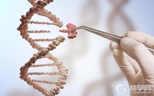 国外单身试管是什么价格？美国单身试管费用清单来袭