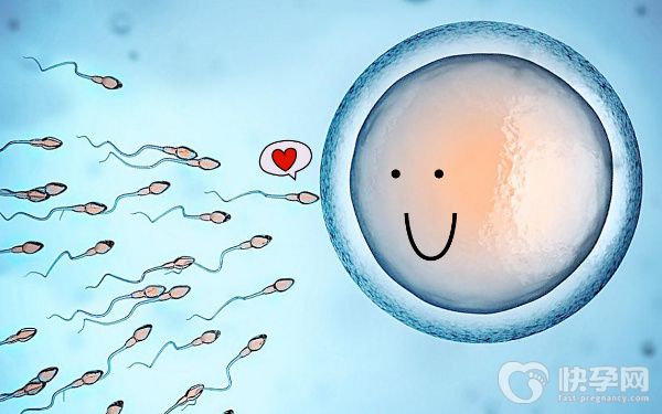 2025国内试管婴儿试管费用已公开！看完就知道要多少钱了