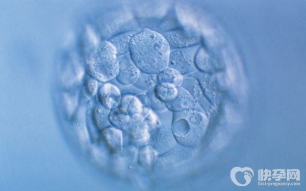 正规医院做赠卵试管一般给多少钱补贴？