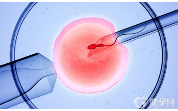 湛江久和医院可以做赠卵试管吗？一次试管费用是多少？
