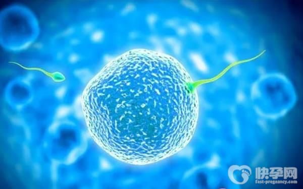 银川市妇幼保健院用医保可以报销多少试管婴儿费用？