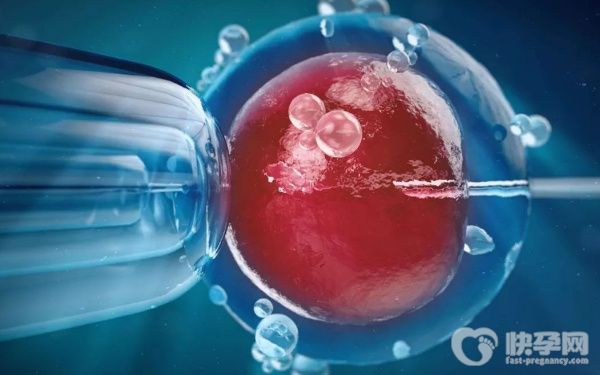 在北京朝阳医院做试管婴儿，前期检查能走医保报销吗？